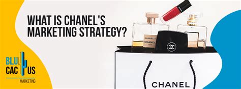 chanel future challenges and lon run strategy|chanel profits.